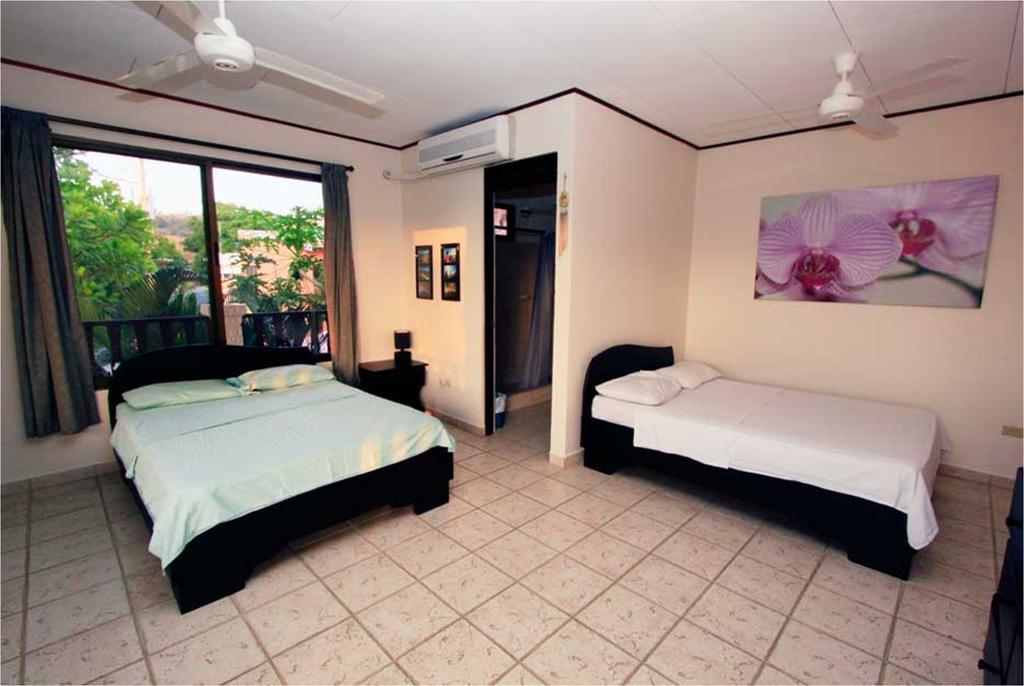 Blue Palm Hotel 哈科 外观 照片