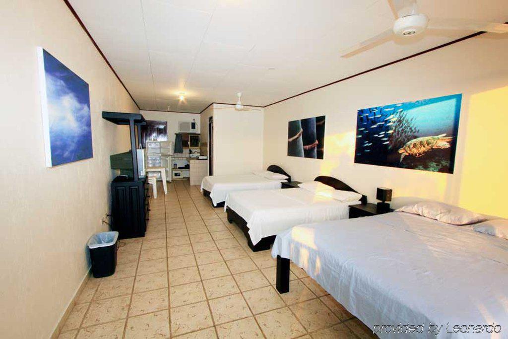 Blue Palm Hotel 哈科 客房 照片